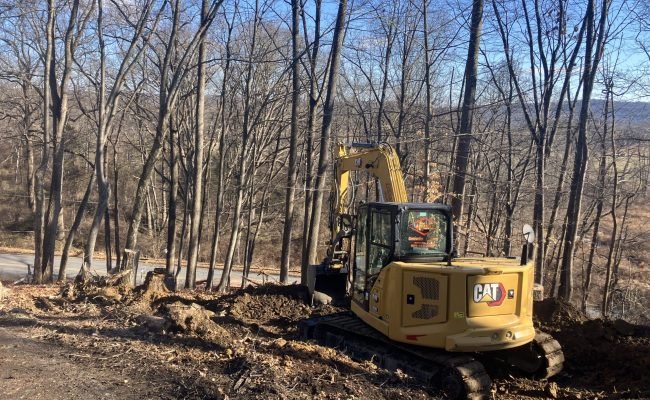 tree-removal-03